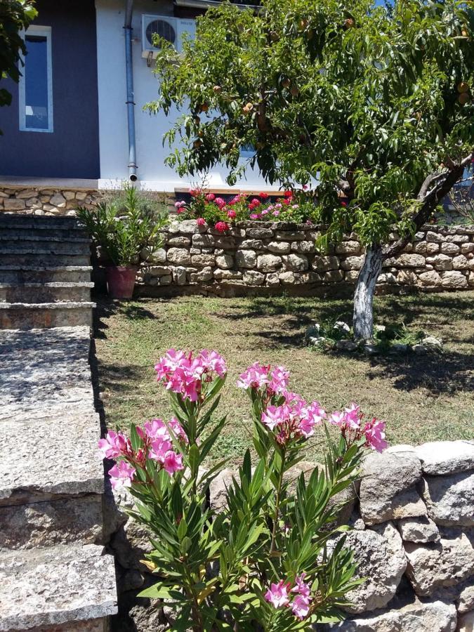 Villa Sunny Day Saints Constantine and Helena Exteriör bild